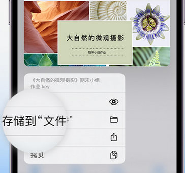 调兵山apple维修中心分享iPhone文件应用中存储和找到下载文件