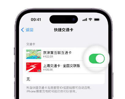 调兵山apple维修点分享iPhone上更换Apple Pay快捷交通卡手绘卡面 