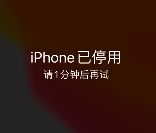 调兵山苹果手机维修分享:iPhone 显示“不可用”或“已停用”怎么办？还能保留数据吗？ 