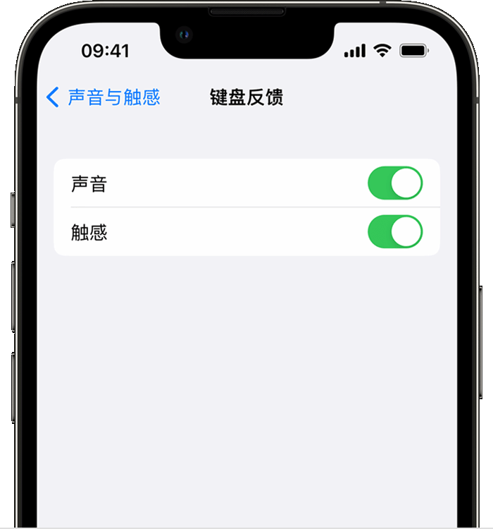 调兵山苹果14维修店分享如何在 iPhone 14 机型中使用触感键盘 