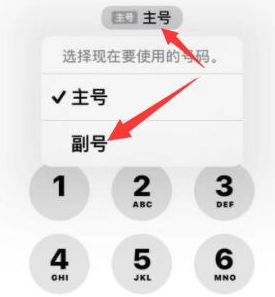 调兵山苹果14维修店分享iPhone 14 Pro Max使用副卡打电话的方法 