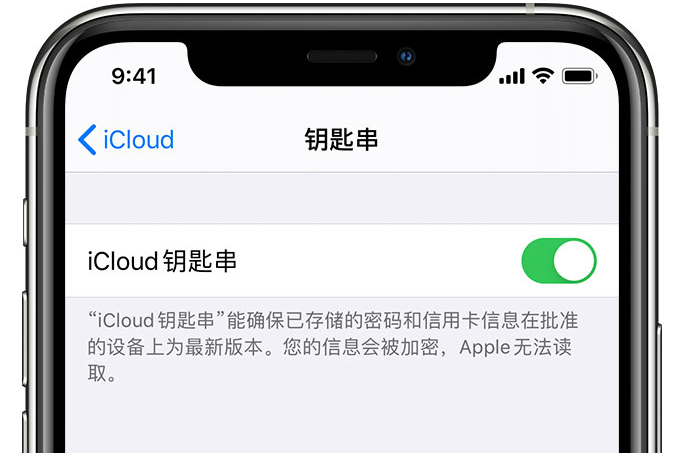 调兵山苹果手机维修分享在 iPhone 上开启 iCloud 钥匙串之后会储存哪些信息 